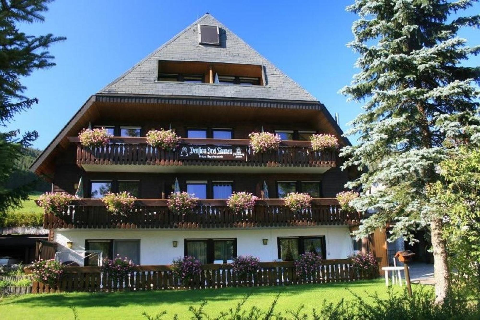 Drei Tannen - Wohnung 04 - Apartmenthaus, Titisee, Nahe Badeparadies Ngoại thất bức ảnh